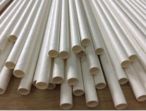 Tree-Free Bamboo Straws from True Green Paper Products